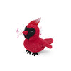 Red Parrot