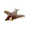 Sparrow