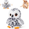 Snowy Owl