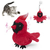 Red Parrot