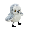 White owl